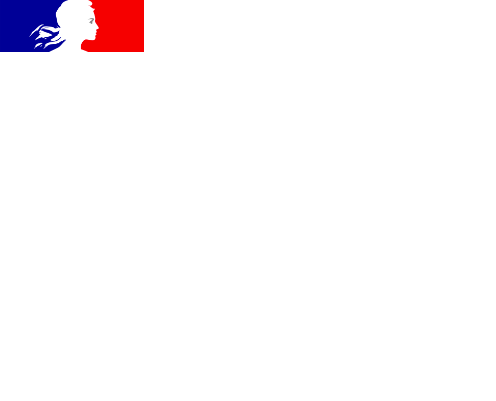 Logo - Ministère du travail, de l'emploi et de l'insertion